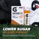 gatorlyte-powder-cherry-lime-makes-16-9o-4.jpg