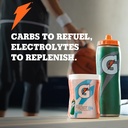 gatorade-3944-powder-variety-pack-lemon--3.jpg
