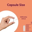bestvite-l-carnosine-500mg-per-capsule-1-6.jpg