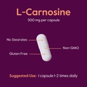 bestvite-l-carnosine-500mg-per-capsule-1-5.jpg
