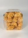 white-fungus-tremella-fuciformis-wood-gr-5.jpg