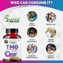 humming-herbs-tmg-supplement-trimethylgl-4.jpg