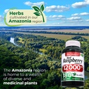 fito-medic-s-lab-red-raspberry-leaf-180--6.jpg