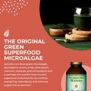 healthforce-superfoods-spirulina-manna---4.jpg