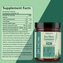 sea-moss-gummies-16-in-1-with-black-seed-6.jpg