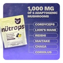 nutrops-sugar-free-lions-mane-mushroom-g-3.jpg