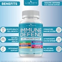 8-in-1-immune-defense-support-immunity-v-3.jpg
