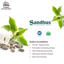 sandhu-s-guduchi-tinospora-cordifolia-gi-6.jpg