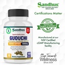 sandhu-s-guduchi-tinospora-cordifolia-gi-5.jpg