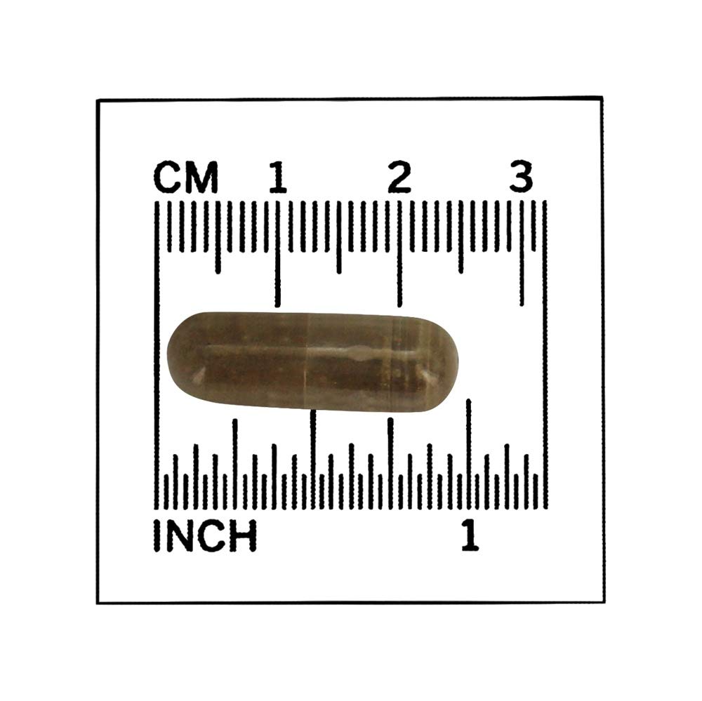 now-foods-gotu-kola-450-mg-100-caps-pack-5.jpg