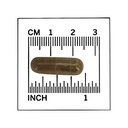 now-foods-gotu-kola-450-mg-100-caps-pack-5.jpg