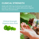 himalaya-organic-gotu-kola-45-day-supply-6.jpg