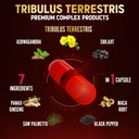 tribulus-terrestris-capsules-with-ashwag-5.jpg