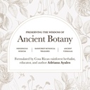 anima-mundi-apothecary-lions-mane-brain--4.jpg
