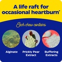enzymedica-heartburn-soothe-fast-acting--6.jpg