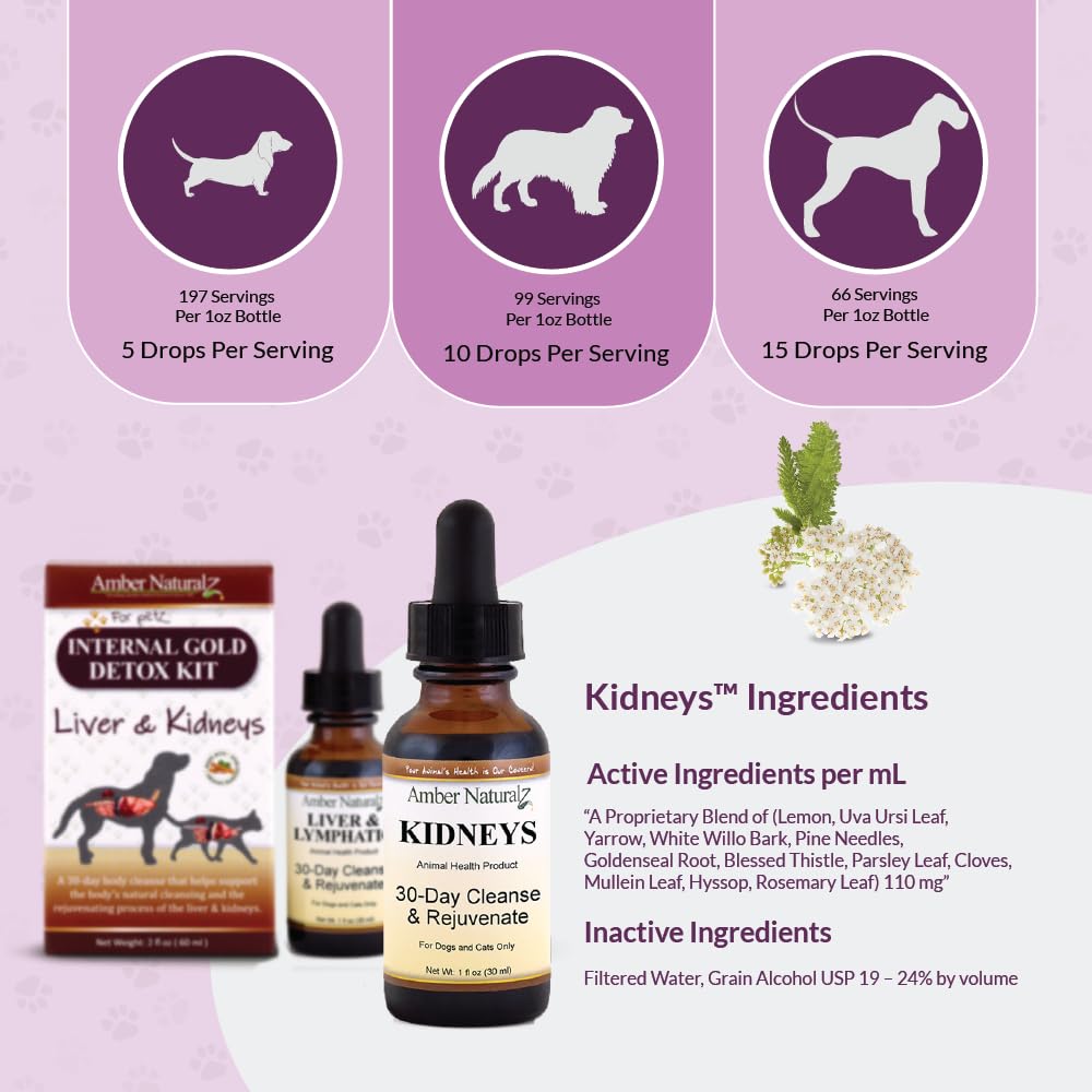 amber-naturalz-internal-gold-detox-kit-f-4.jpg