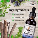 christopher-s-original-formulas-pancreas-3.jpg