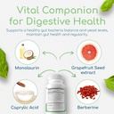 microbiome-balance-gut-health-supplement-3.jpg