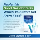 akkermansia-probiotic-10-billion-cfu-adv-3.jpg