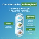 akkermansia-probiotic-10-billion-cfu-adv-5.jpg