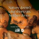new-chapter-turmeric-supplement-one-dail-5.jpg