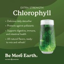 nature-s-sunshine-lymphatic-drainage-chl-5.jpg