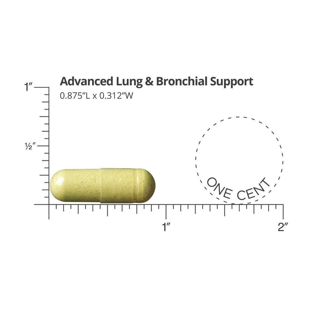 dr-sinatra-advanced-lung-bronchial-suppo-3.jpg