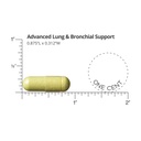 dr-sinatra-advanced-lung-bronchial-suppo-3.jpg
