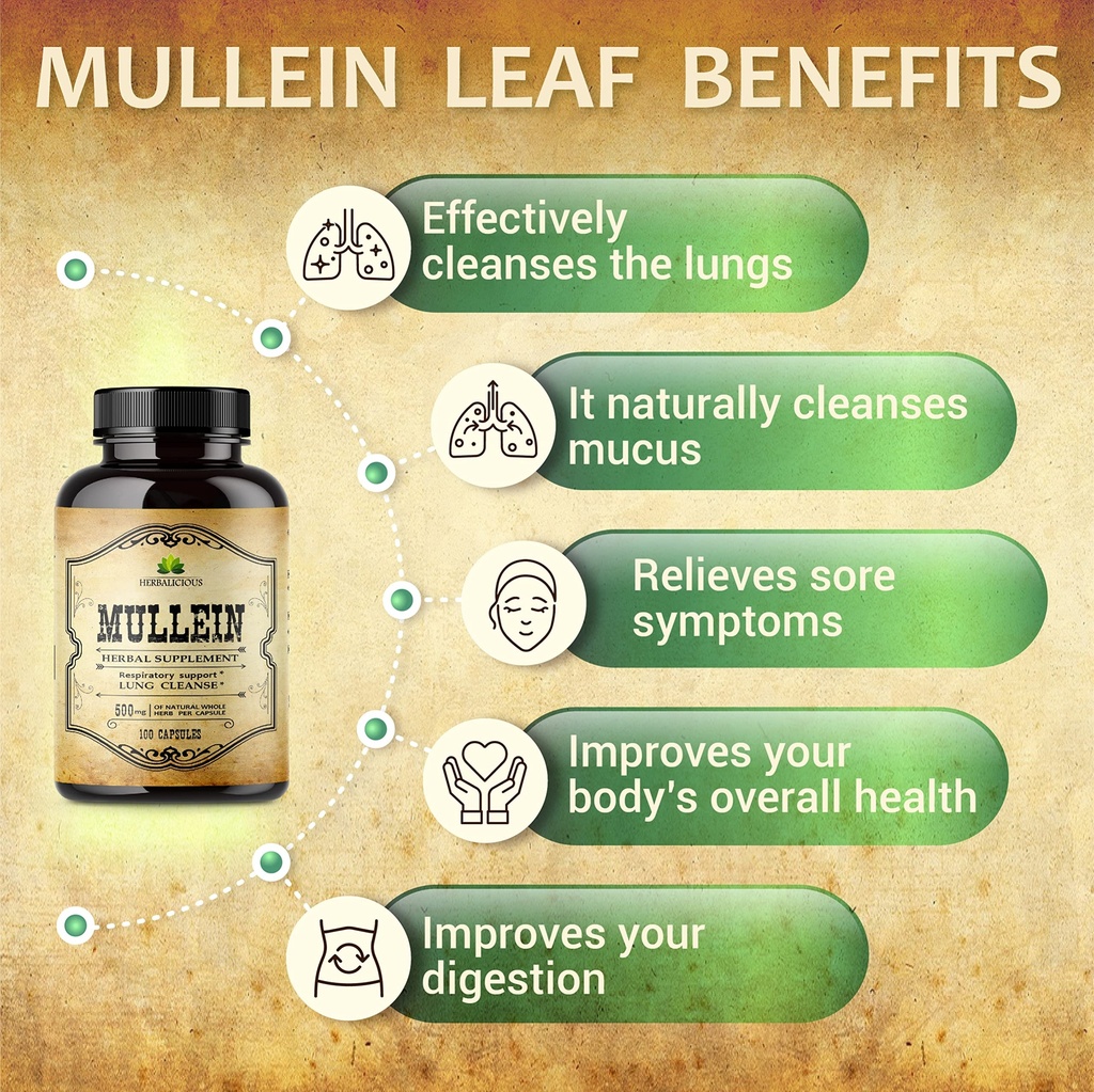 herbalicious-mullein-leaf-extract-for-lu-4.jpg
