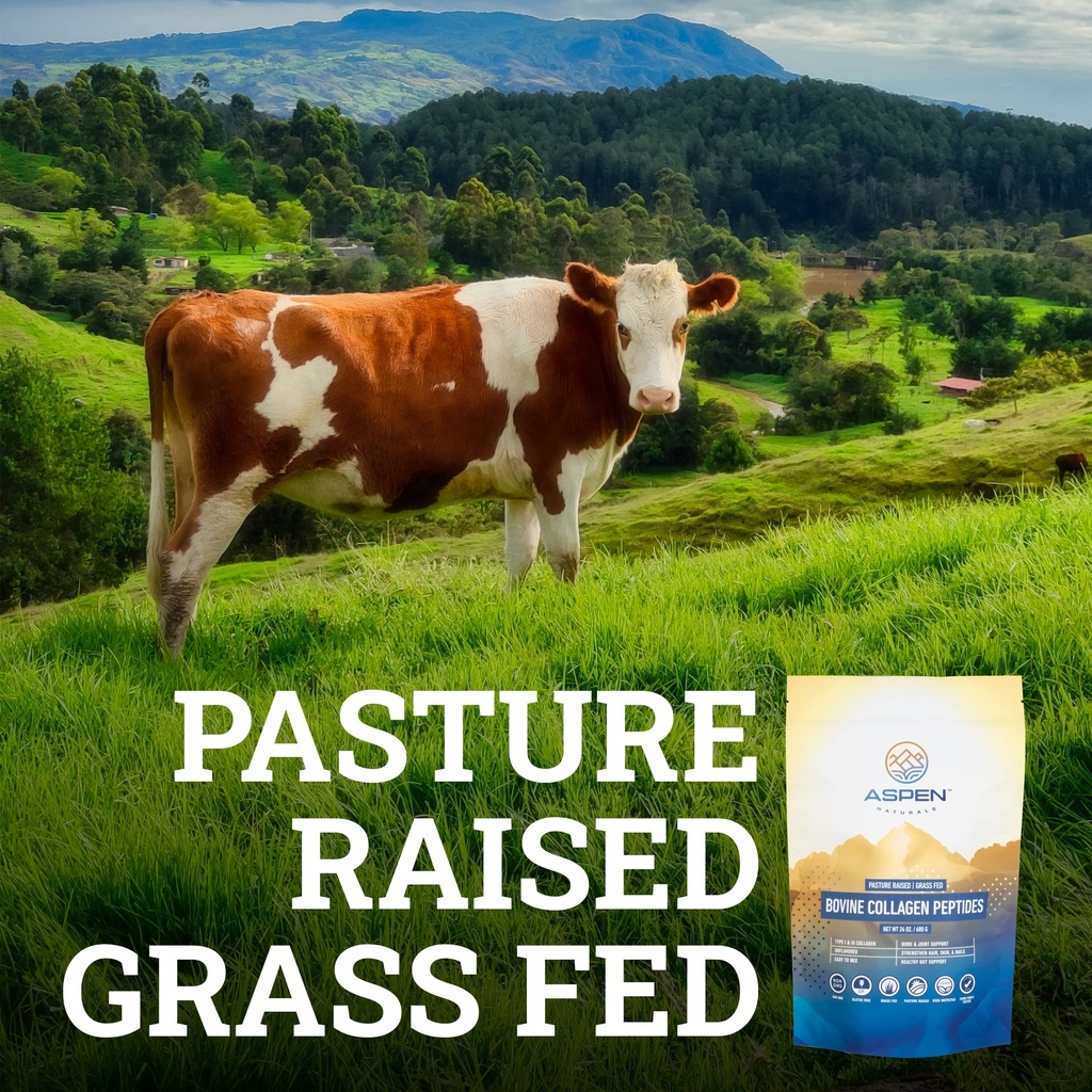 aspen-naturals-grass-fed-bovine-collagen-3.jpg