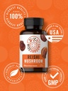 carlyle-reishi-mushroom-capsules-extract-6.jpg
