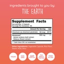 happy-healthy-hippie-glp-1-supplement-me-4.jpg