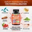 glp-1-booster-supplement-akkermansia-l-c-4.jpg