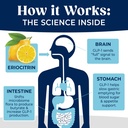 dr-stephanie-s-glp-wonder-natural-glp-1--3.jpg