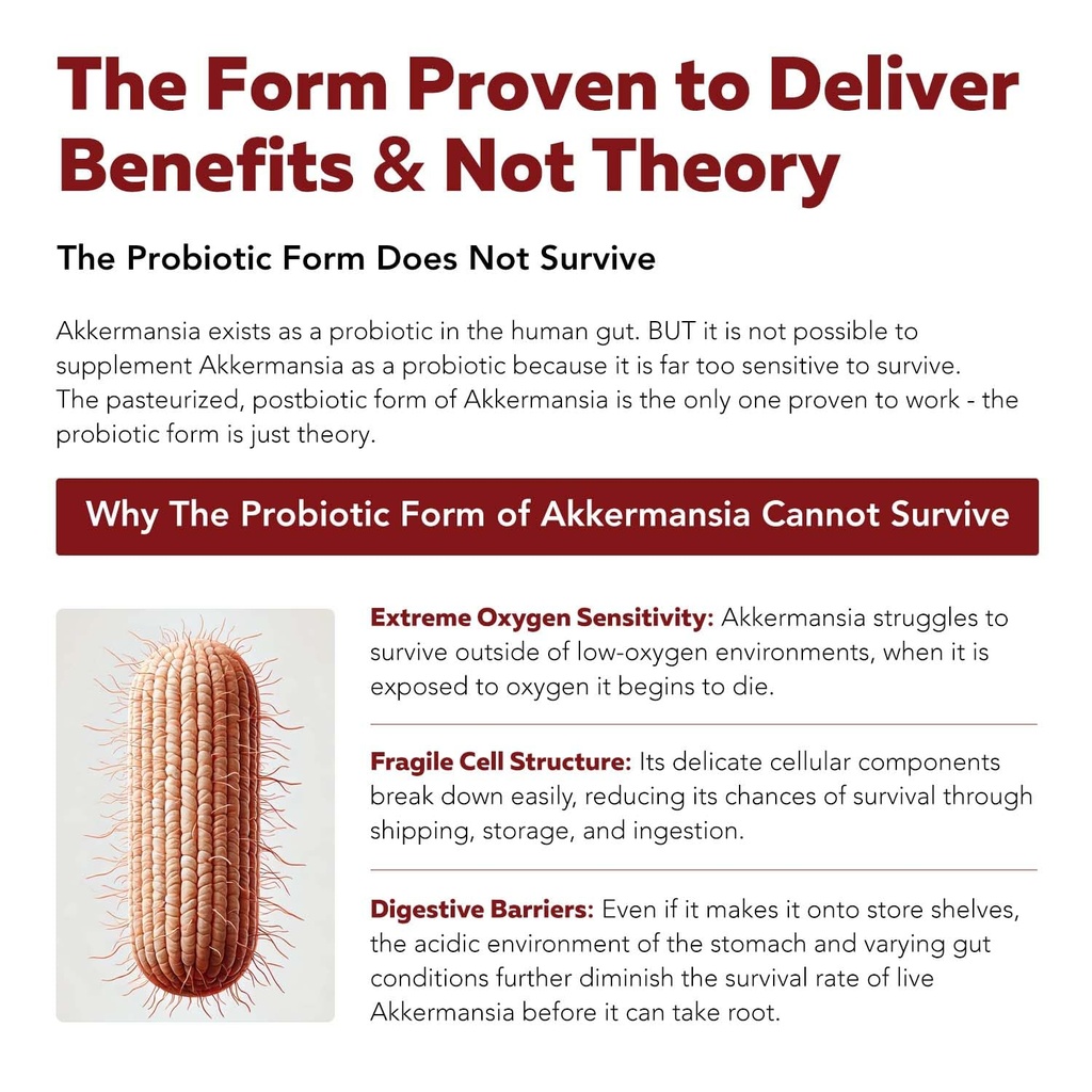 ak-postbio-akkermansia-probiotic-30-bill-5.jpg