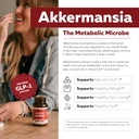 ak-postbio-akkermansia-probiotic-30-bill-3.jpg