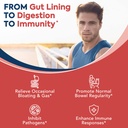probiotics-60-billion-cfu-19-strains-for-4.jpg
