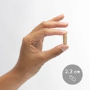 dr-mercola-organic-fermented-mushroom-co-6.jpg