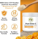 wholistic-pet-organics-pure-ester-c-powd-6.jpg