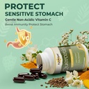 quercetin-supplement-1000mg-softgels-joi-4.jpg