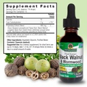 nature-s-answer-black-walnut-and-wormwoo-3.jpg