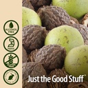 nature-s-answer-black-walnut-hull-extrac-5.jpg
