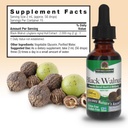 nature-s-answer-black-walnut-hull-extrac-3.jpg