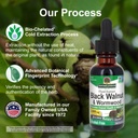 nature-s-answer-black-walnut-and-wormwoo-4.jpg