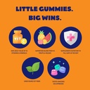 citra-berry-superfood-gummies-for-kids-k-3.jpg