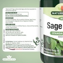 sage-leaf-50mg-500mg-equiv-90-tabs-6.jpg