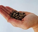 peter-s-choice-kidney-rejuvenator-3.jpg