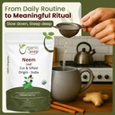 organic-way-neem-leaf-cut-and-sifted-her-5.jpg