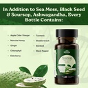serene-herbs-17-in-1-sea-moss-capsules-w-4.jpg