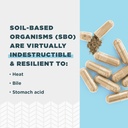 ancient-nutrition-sbo-gut-restore-probio-6.jpg